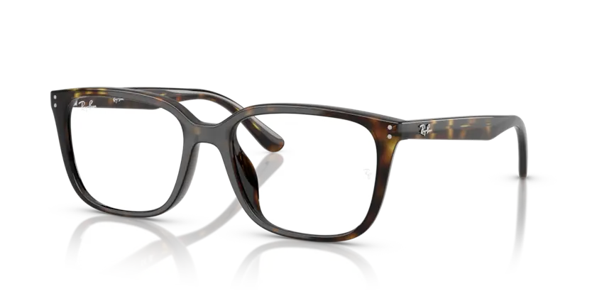 Gọng Kính Ray-Ban RB7248D 2012