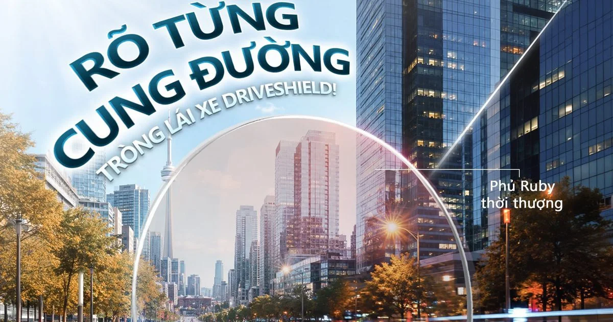 Tròng kính chống chói đèn xe, dành cho tài xế lái xe ban đêm Rocky DriveShield