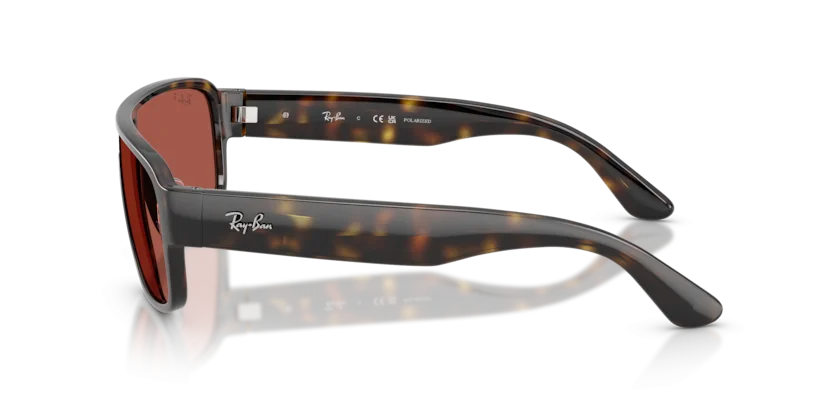 Ray-Ban RB2233 710/1B