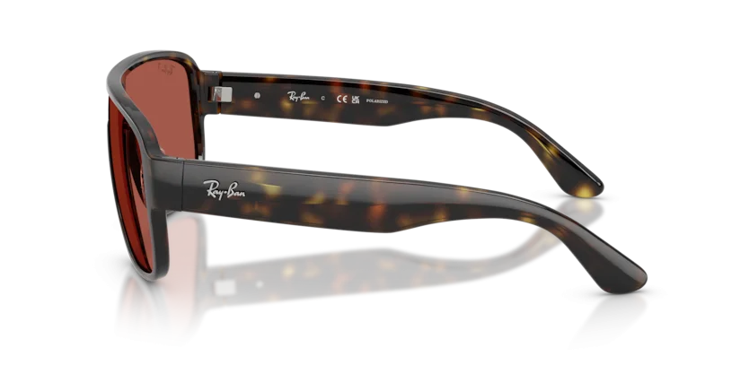 Ray-Ban RB2229 710/1B 