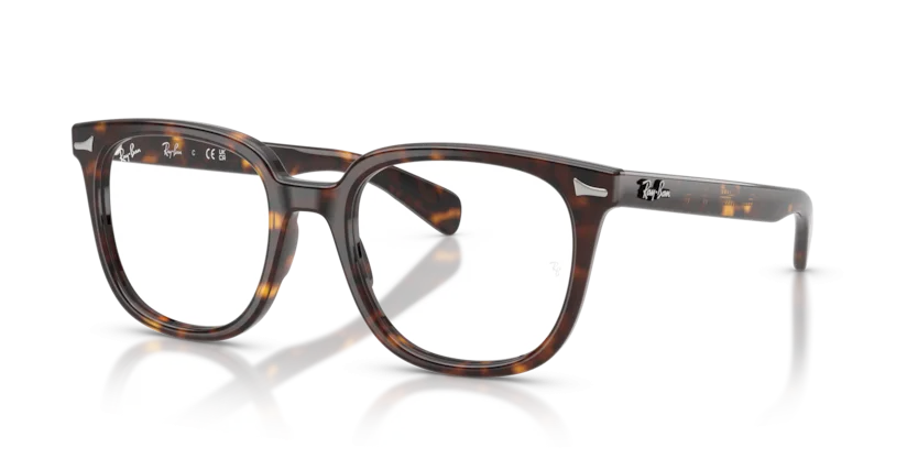 Gọng Kính Ray-Ban RB5535F 2012