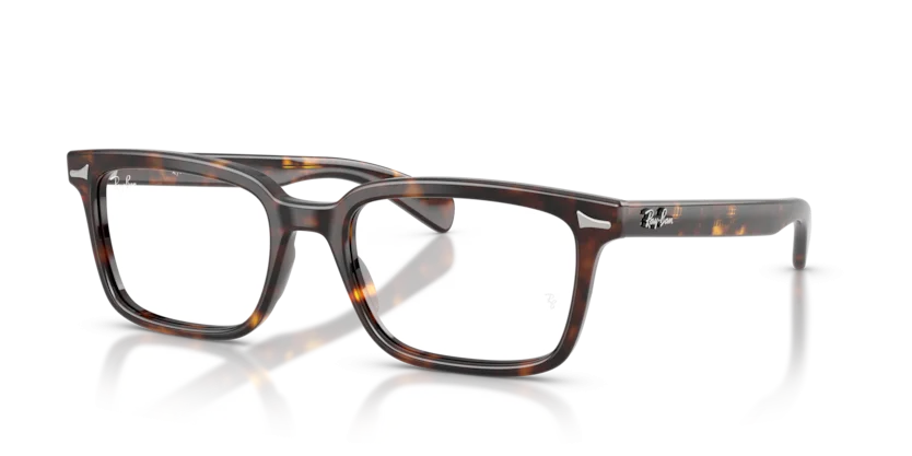 Gọng Kính Ray-Ban RB5534F 2012