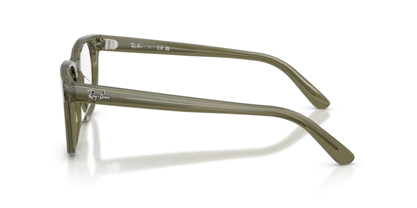Ray-Ban RB5461D 8501