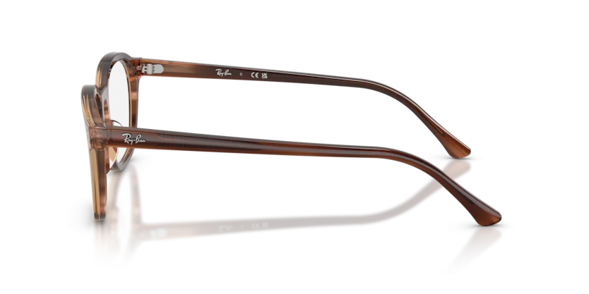 Ray-Ban RB5460 8455