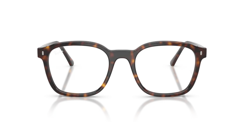 Ray-Ban RB5460 2012