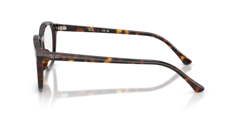 Ray-Ban RB5460 2012