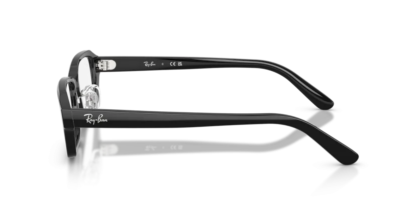 Ray-Ban RB5458D 2000