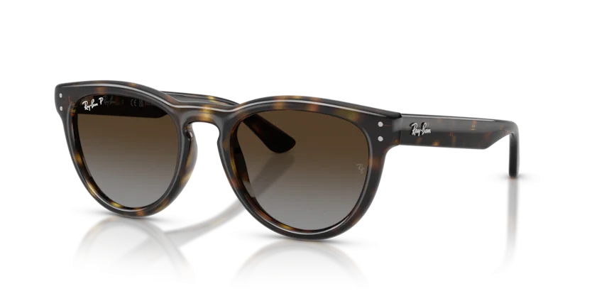Kính Mát Ray-Ban RB2237 710/T5