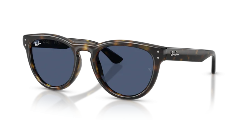 Kính Mát Ray-Ban RB2237 710/80