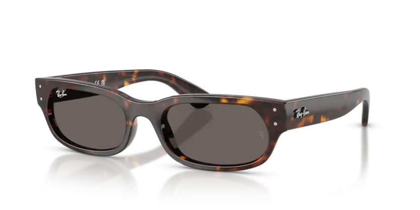 Kính Mát Ray-Ban RB2236F 902/B1