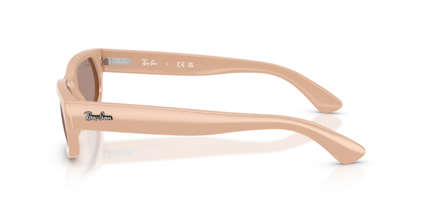 Ray-Ban RB2236F 6900/4Q