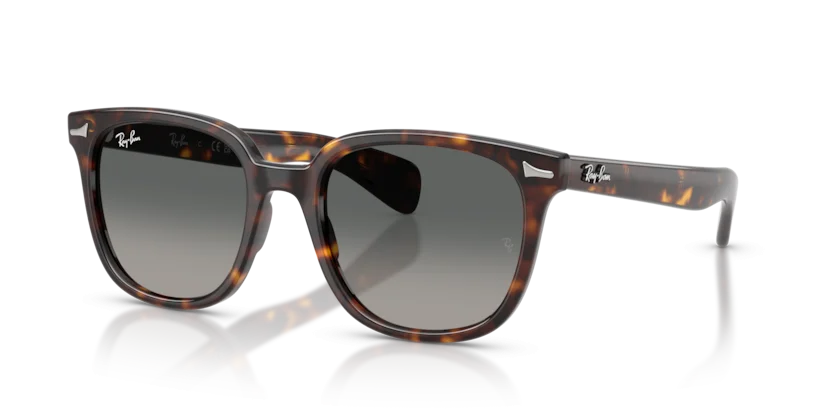 Kính Mát Ray-Ban RB2235F 902/71 