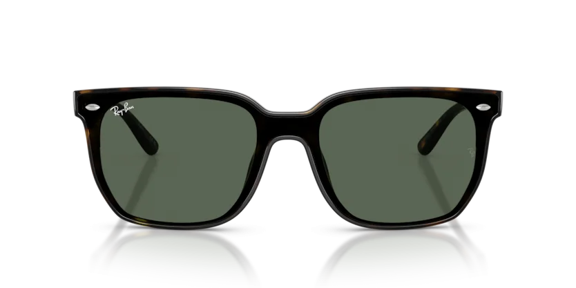 Ray-Ban RB4466D 710/71 