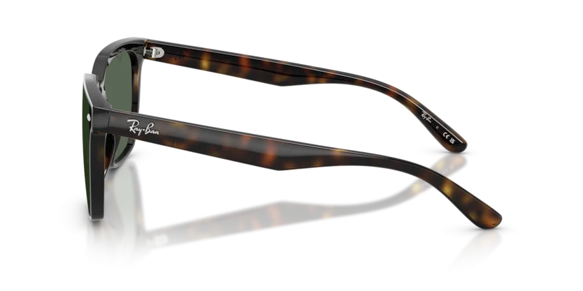 Ray-Ban RB4466D 710/71 