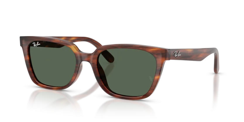 Kính Mát Ray-Ban RB2243D 954/71
