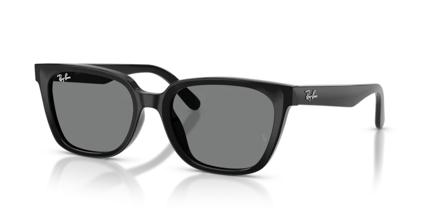 Ray-Ban RB2243D 901/87