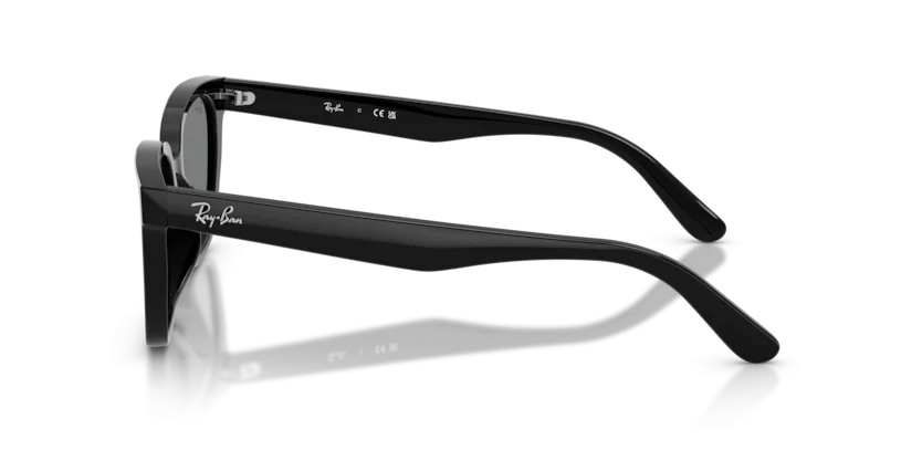 Ray-Ban RB2243D 901/87