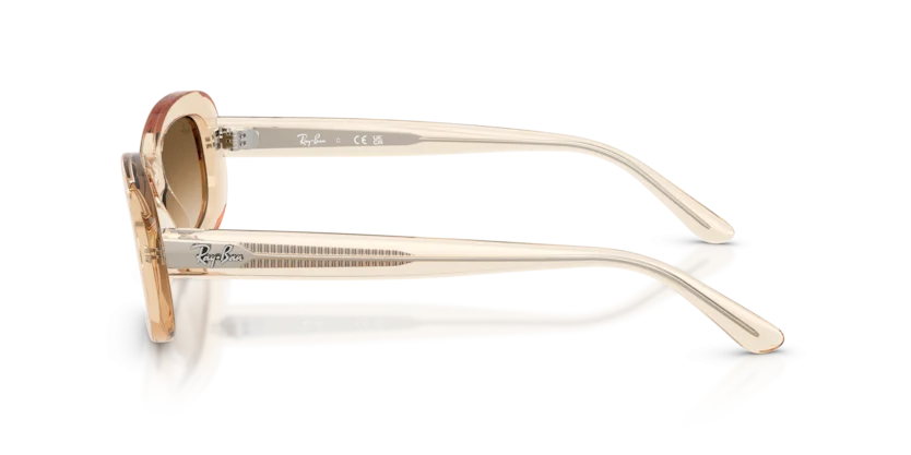 Ray-Ban RB2221F 6902/51