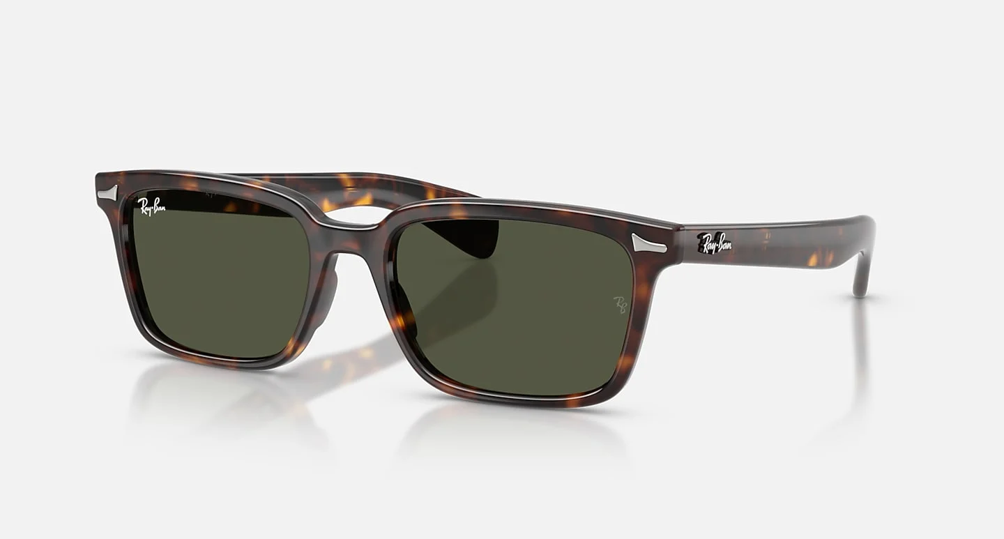 Kính Mát Ray-Ban RB2234F 902/31