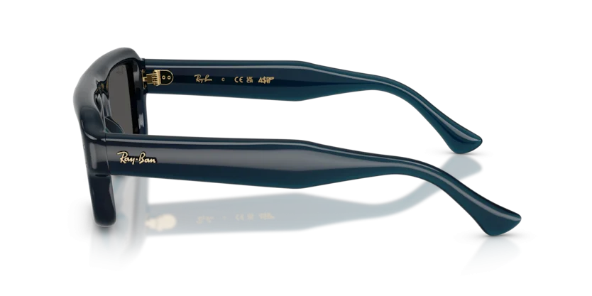 Ray-Ban RB4954 6895/87