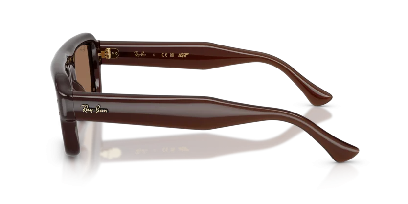 Ray-Ban RB4954 6896/73