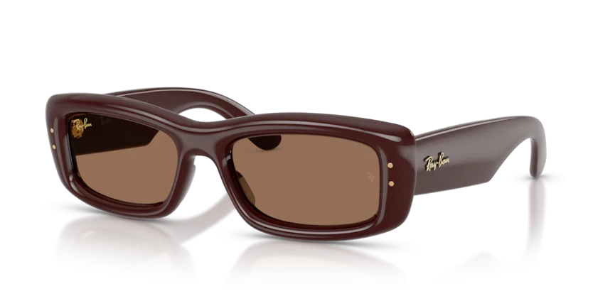 Kính Mát Ray-Ban RB4944 6877/73