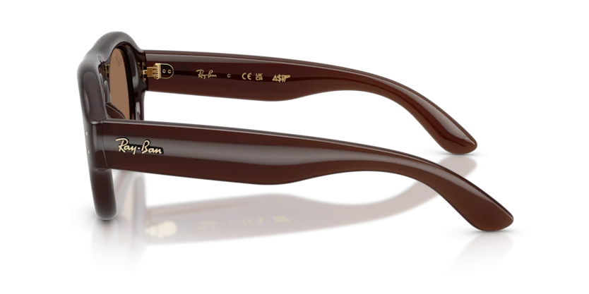 Ray-Ban RB4925 6896/73