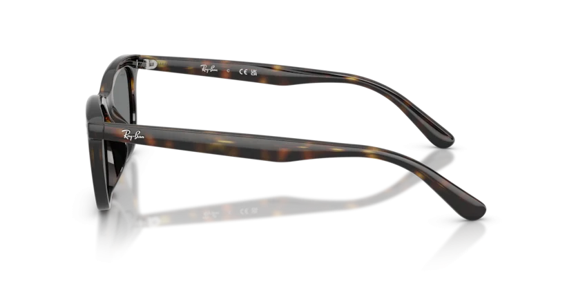 Ray-Ban RB4474D 710/87