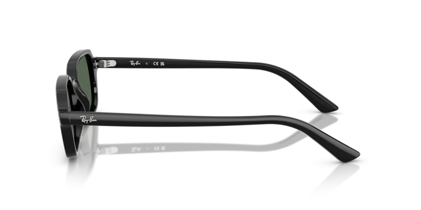 Ray-Ban RB4455F 6677/71