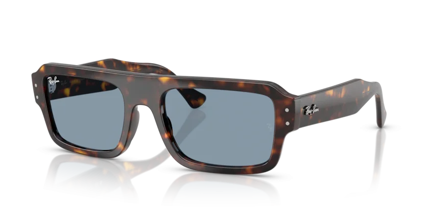 Kính Mát Ray-Ban RB4454 902/56