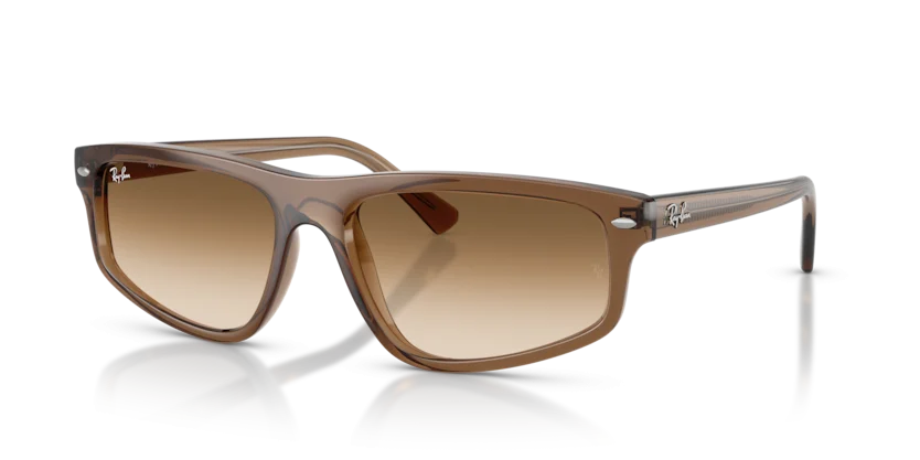 Kính Mát Ray-Ban RB2225 6640/51