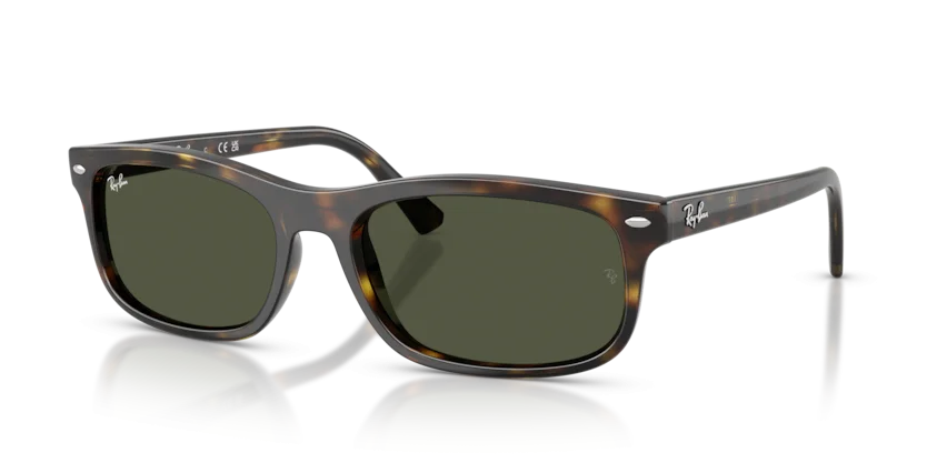 Kính Mát Ray-Ban RB2224F 710/31