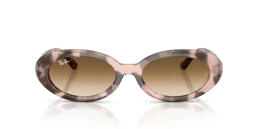 Ray-Ban RB2223F 1449/51