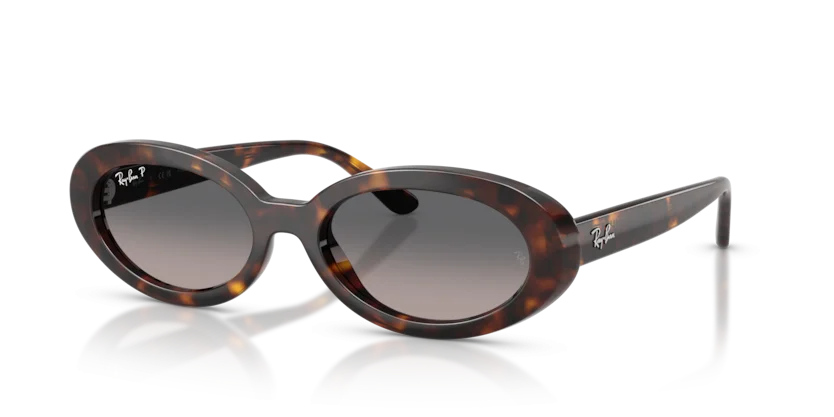 Kính Mát Ray-Ban RB2223F 902/M3