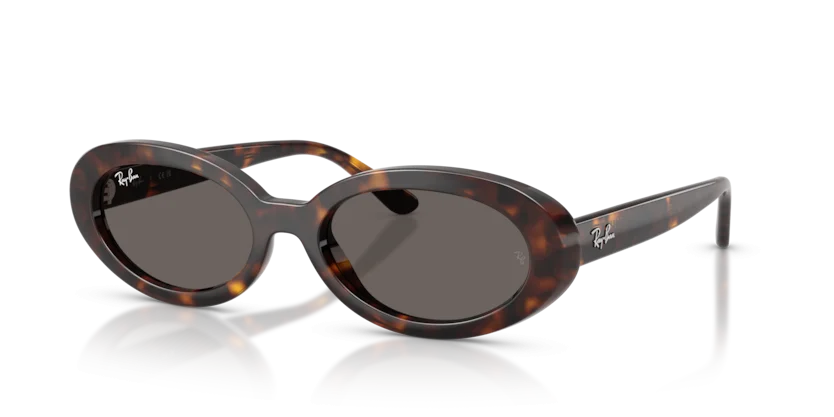 Kính Mát Ray-Ban RB2223F 902/B1