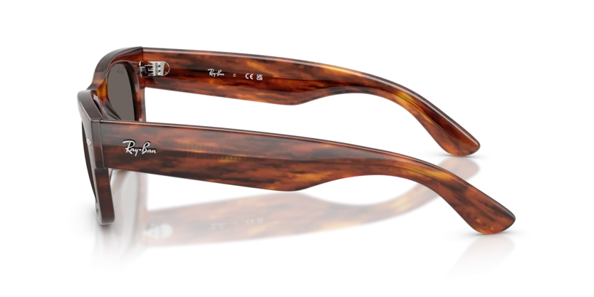 Ray-Ban RB0832SF 954/B1 