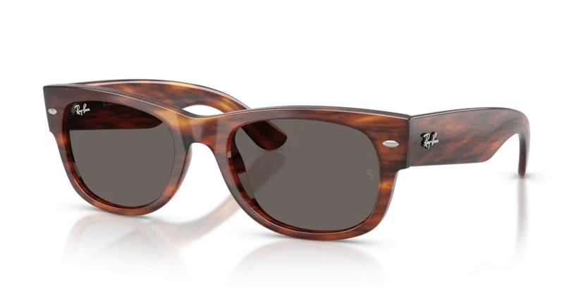 Kính Mát Ray-Ban RB0832SF 954/B1 