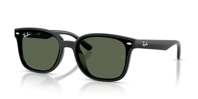 Kính Mát Ray-Ban RB4461D 601/71