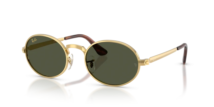 Kính Mát Ray-Ban RB3931 001/31