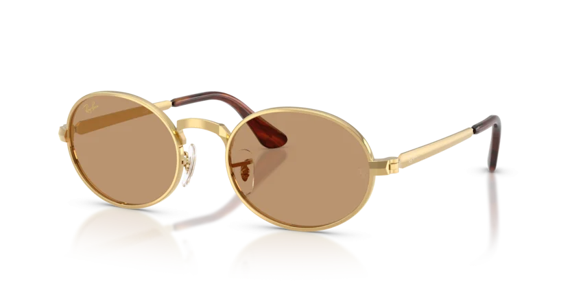 Kính Mát Ray-Ban RB3931 001/53