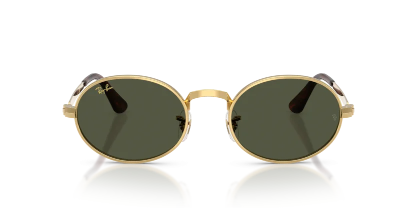 Ray-Ban RB3931 001/31
