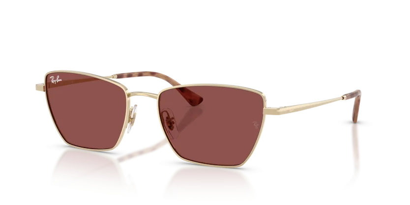 Kính Mát Ray-Ban RB3783 9213/75
