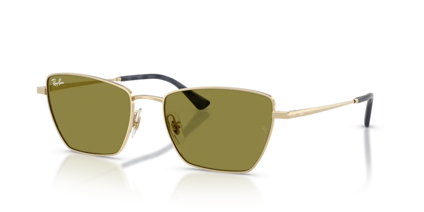 Kính Mát Ray-Ban RB3783 9213/2
