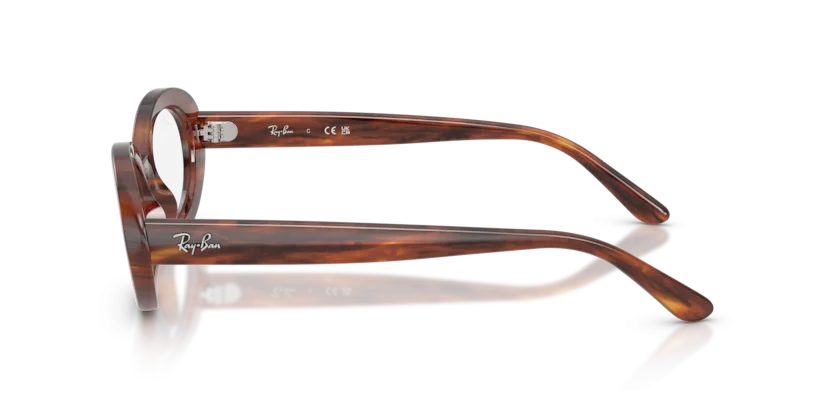 Ray-Ban RB2223VF 2144