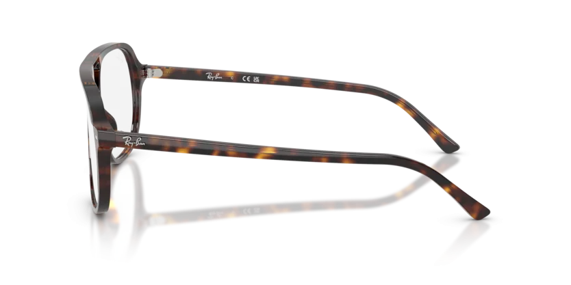 Ray-Ban RB5698 2012