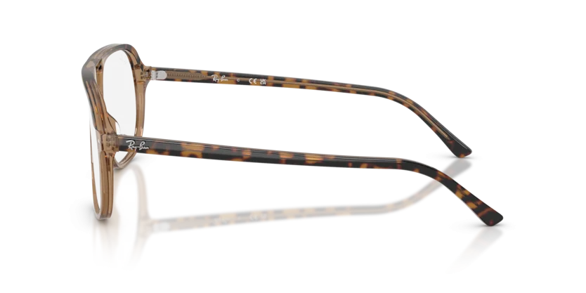 Ray-Ban RB5698 8109