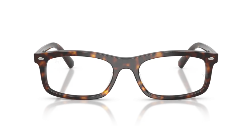 Ray-Ban RB5450F 2012