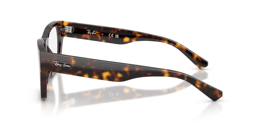 Ray-Ban RB5448 2012