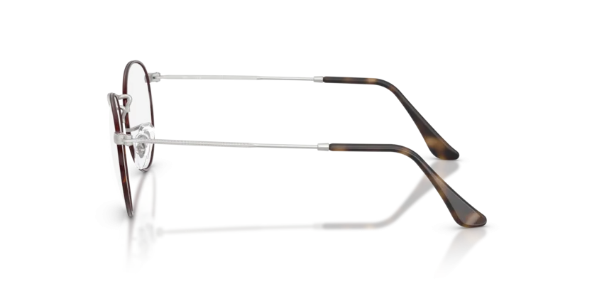 Ray-Ban RB3447V 3194