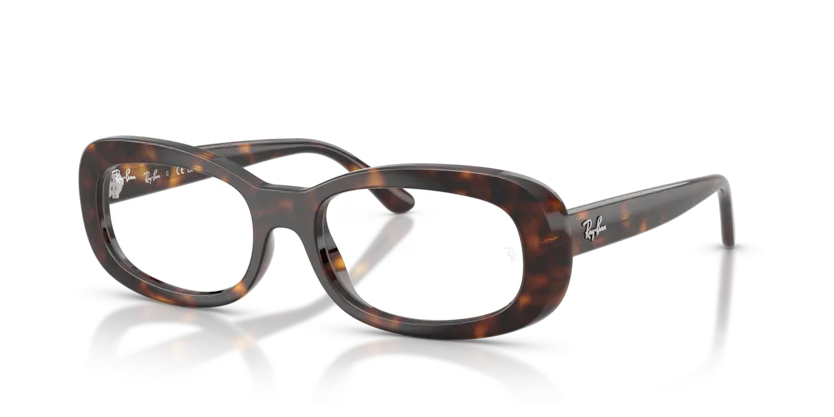 Gọng Kính Ray-Ban RB2221VF 2012